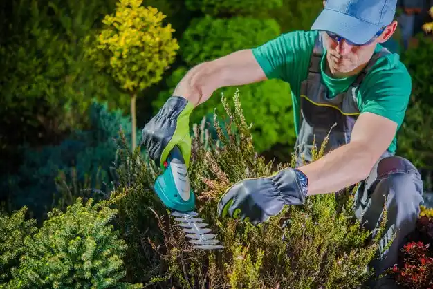 landscaping services Iowa